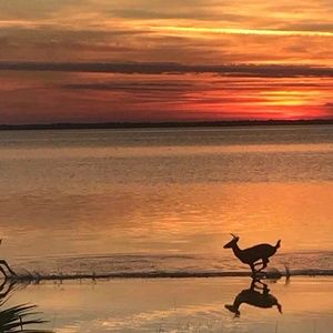 Meet your Posher, Sheri